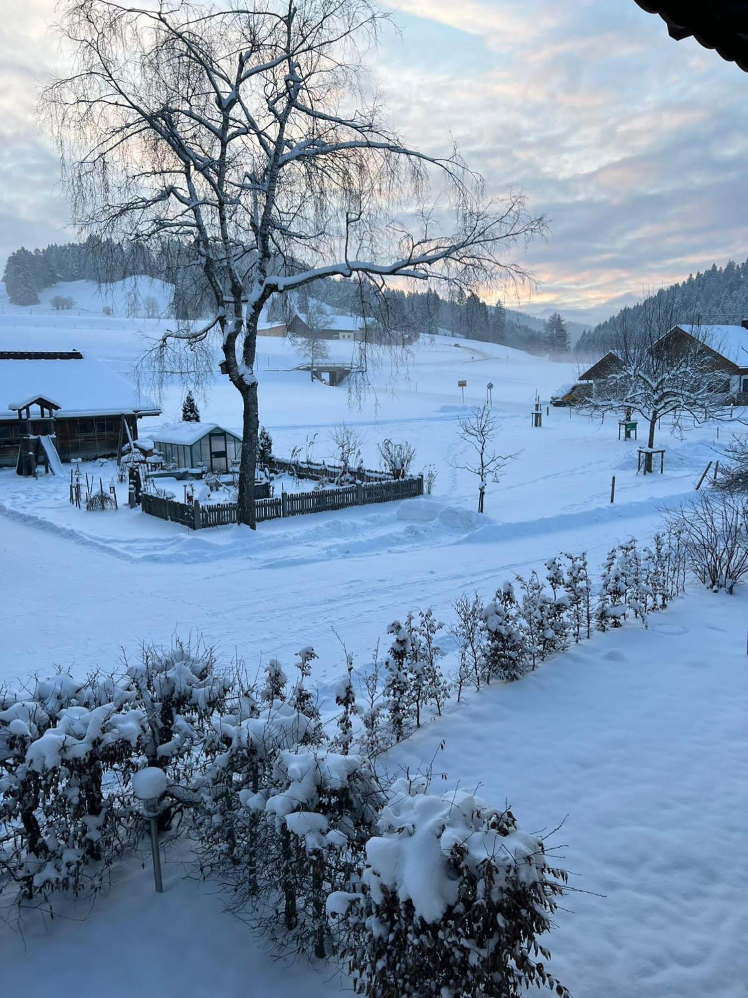 Ferienwohnungen Roessle Stiefenhofen Exterior foto